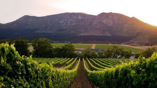 winelands
