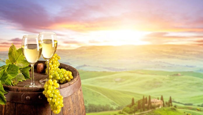 White wine with wooden barrel on vineyard in Tuscany, Italy