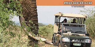 Kruger National Park Safaris - Where wildlife encounters come to life
